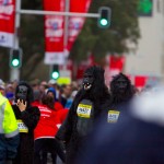 City2Surf 2012