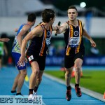 Zatopek 10 2014