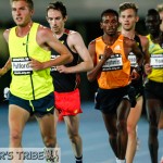 Zatopek 10 2014