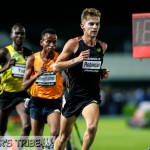 Zatopek 10 2014 Robinson
