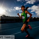 Zatopek 10 2014