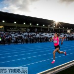 Zatopek 10 2014