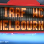 Melbourne Track Classic 2012_099