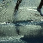 Zatopek ’11_140