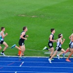 nswchamps2016_300