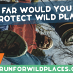 Poster Resize 350×200 (v1.2)