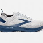 Brooks Levitate 4