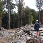 takayna logging