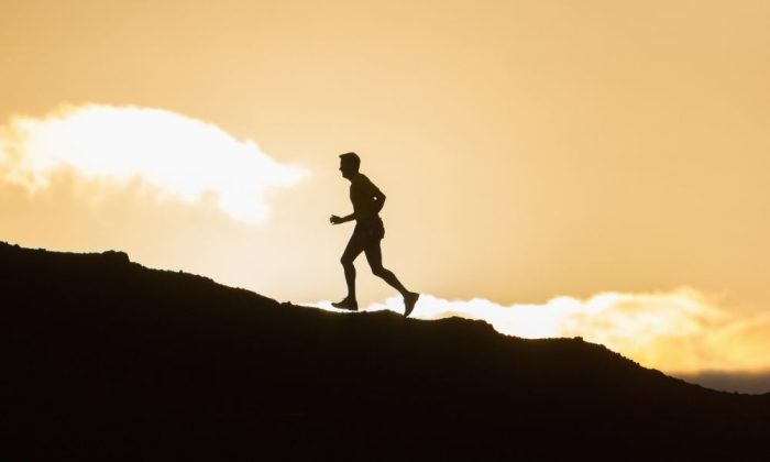 Main Training Principles for Mature Runners - Runner's Tribe