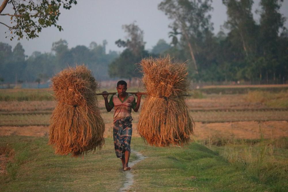 walking barefoot with luggage - Runner's Tribe