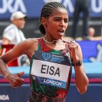 Medina Eisa
